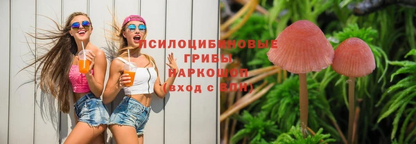 трава Нея