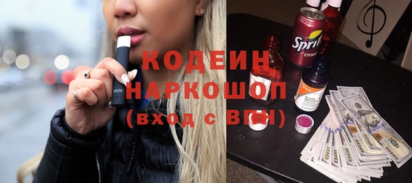 сатива Надым