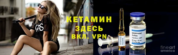сатива Надым