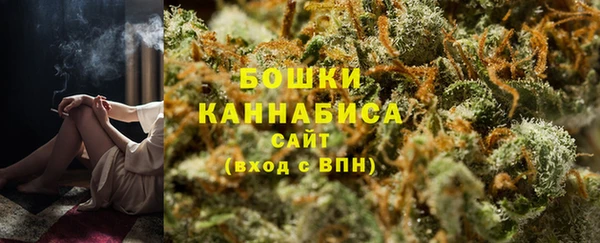 сатива Надым