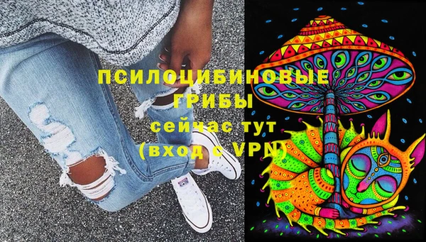 сатива Надым