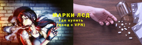 сатива Надым