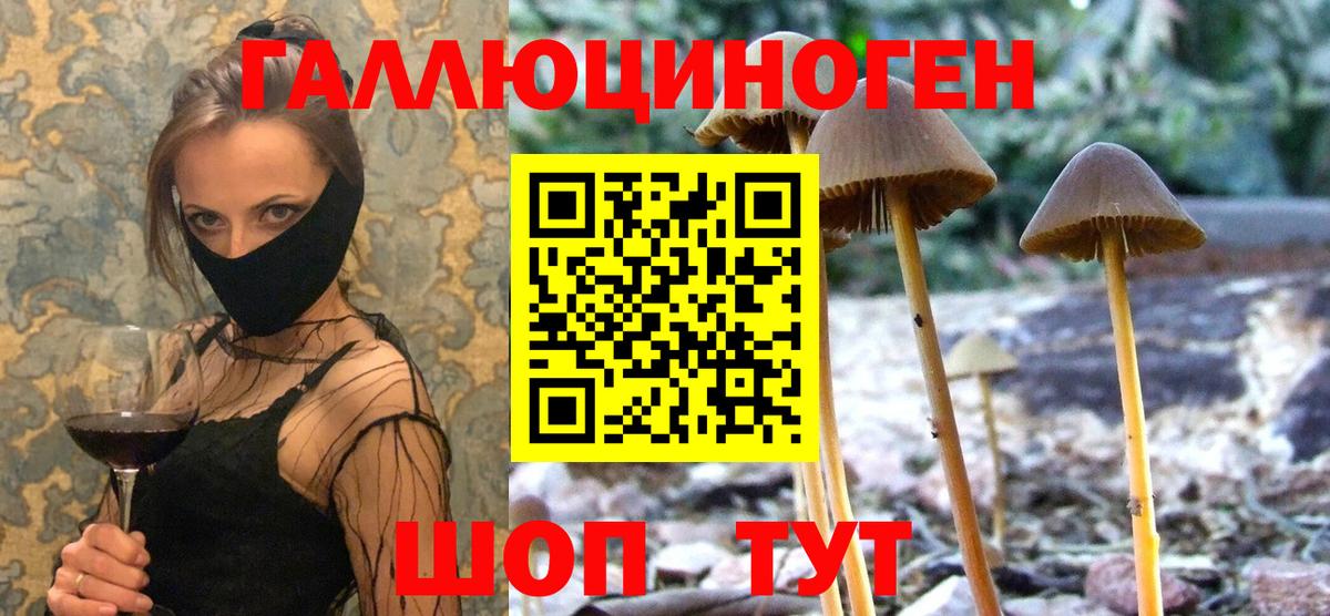 Псилоцибиновые грибы мицелий  Псилоцибиновые грибы Magic Shrooms  Ишим 