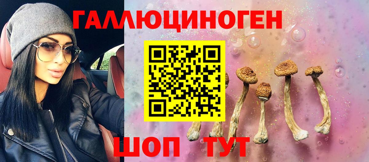 Псилоцибиновые грибы прущие грибы Ишим